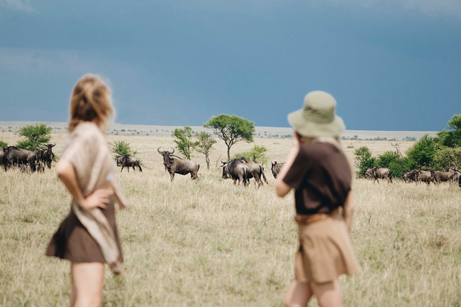 The Great Migration: A Survival Guide – Visit Tanzania Journal