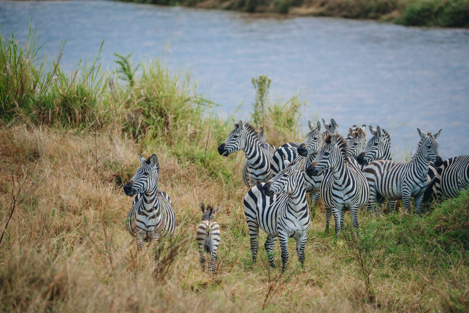 7 Days Tanzania Adventure