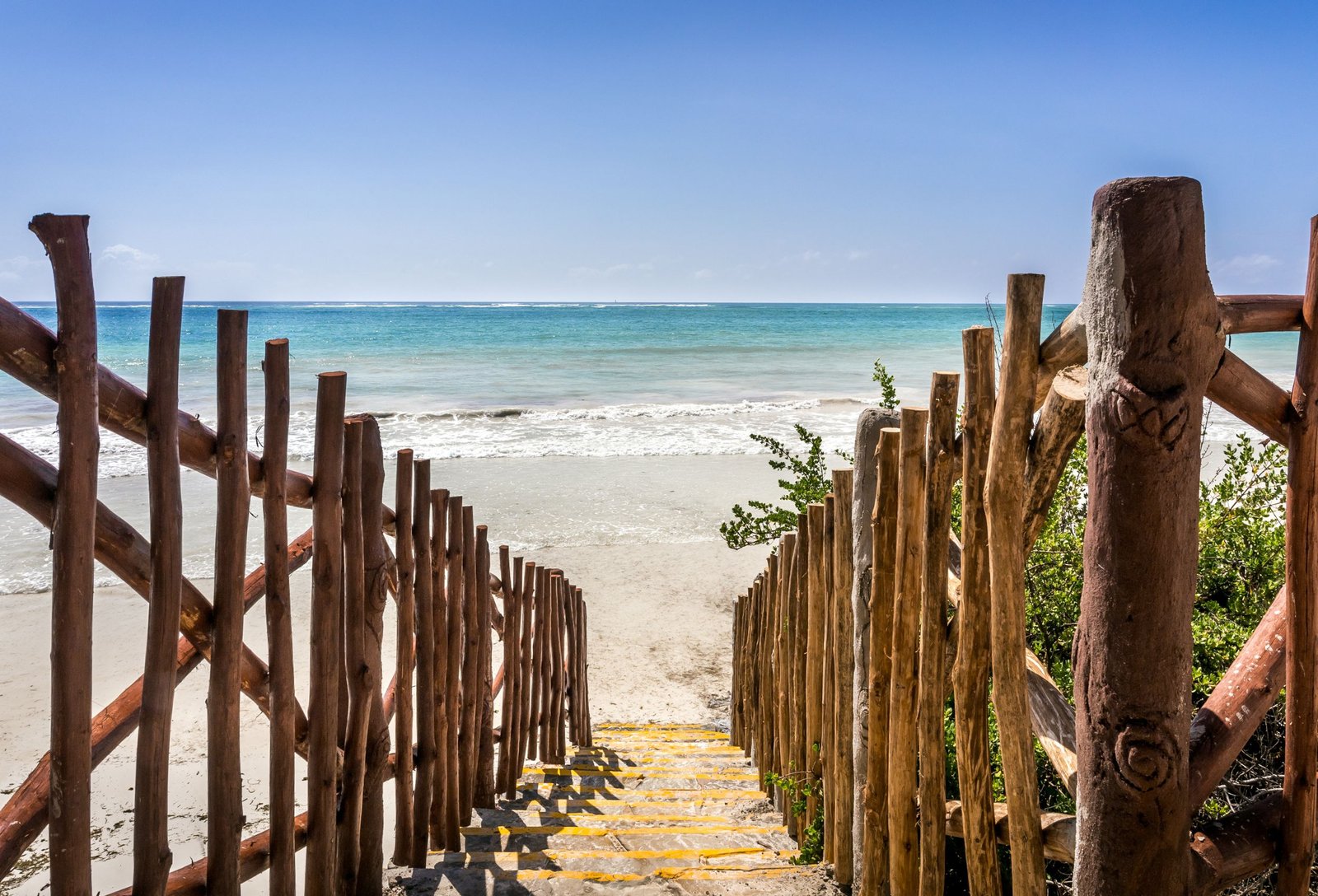 14 Days Safari and Beach