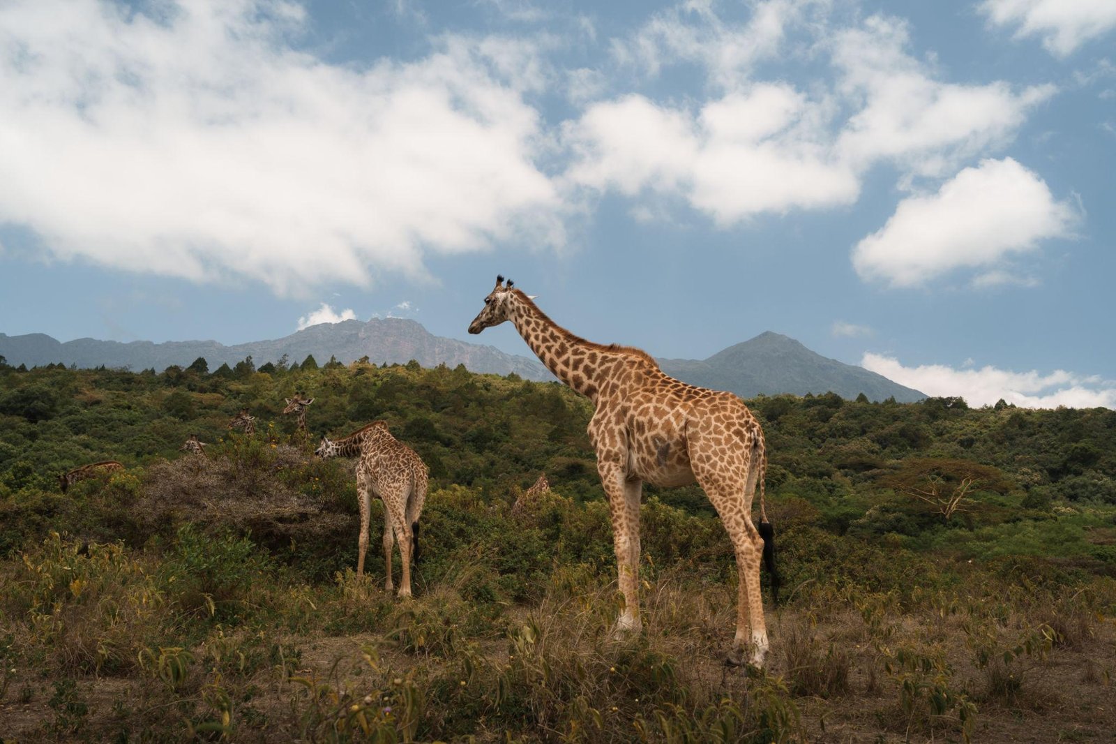 Arusha National Park – Tanzania destination