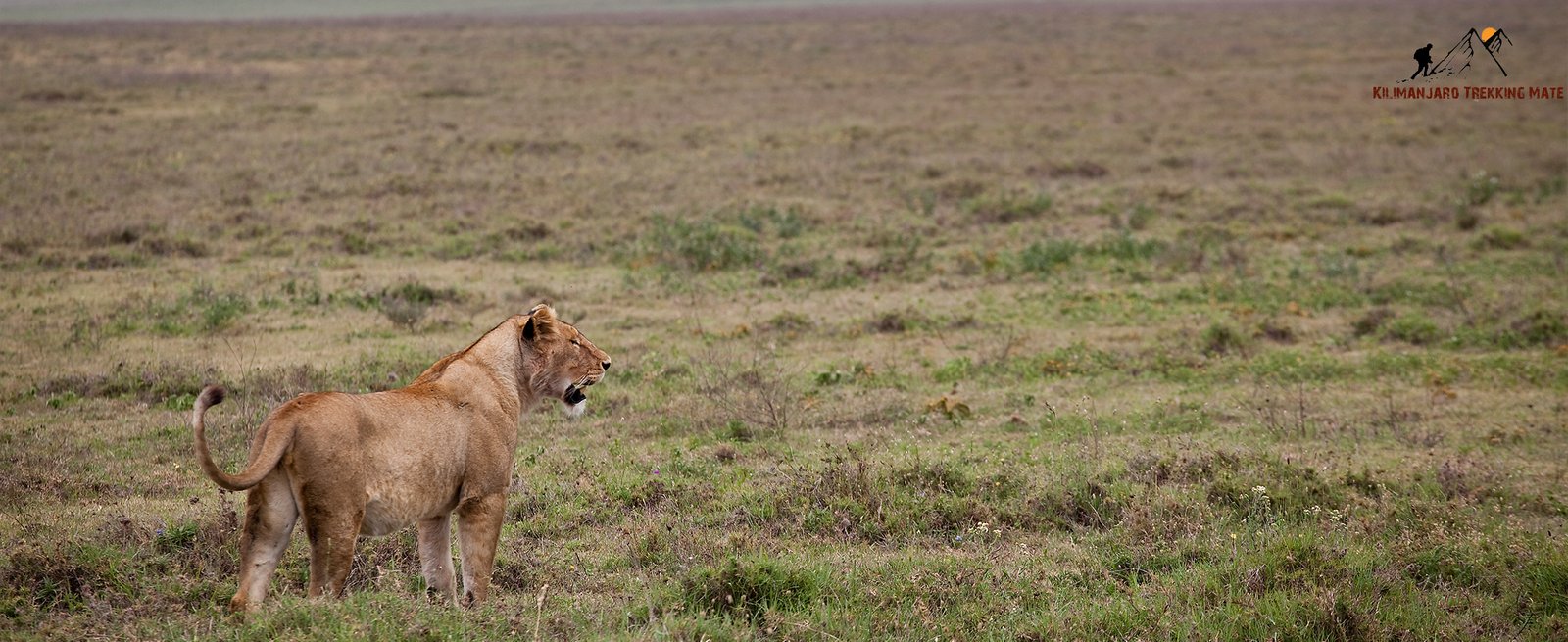 7 Days Western Tanzania Adventure