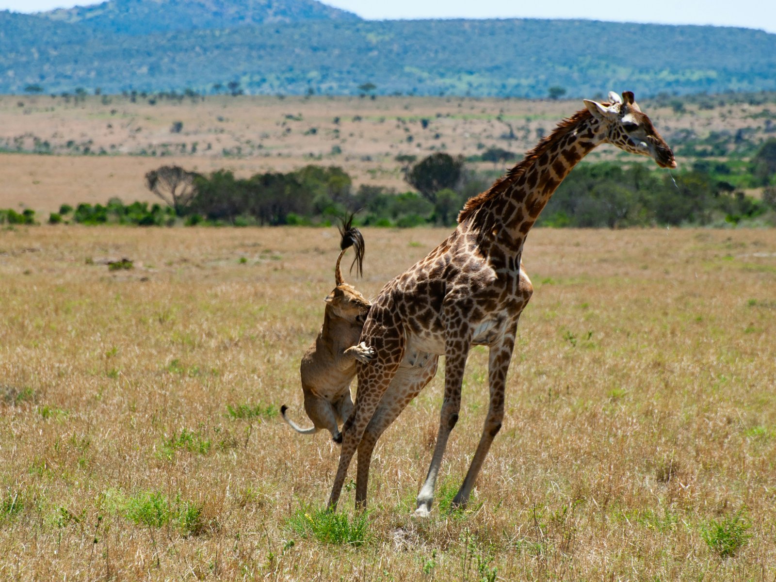 10 Day Southern Tanzania Immersive Safari