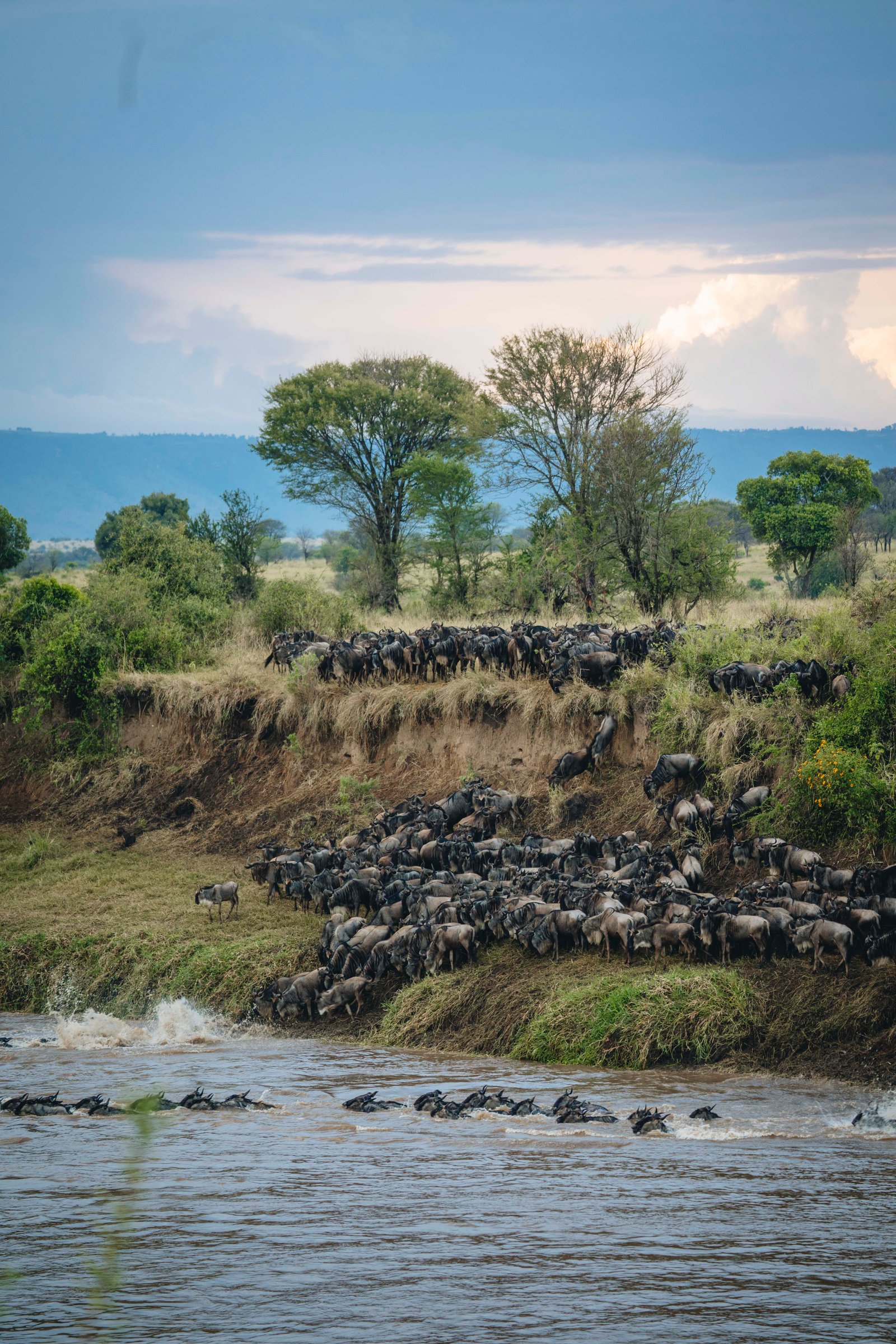 Northern Serengeti Migration Fly in Safari - Ngorongoro Crater