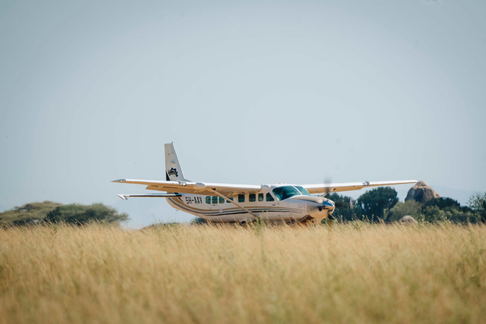 5 Days Luxury Fly‑In Serengeti & Ngorongoro Safari