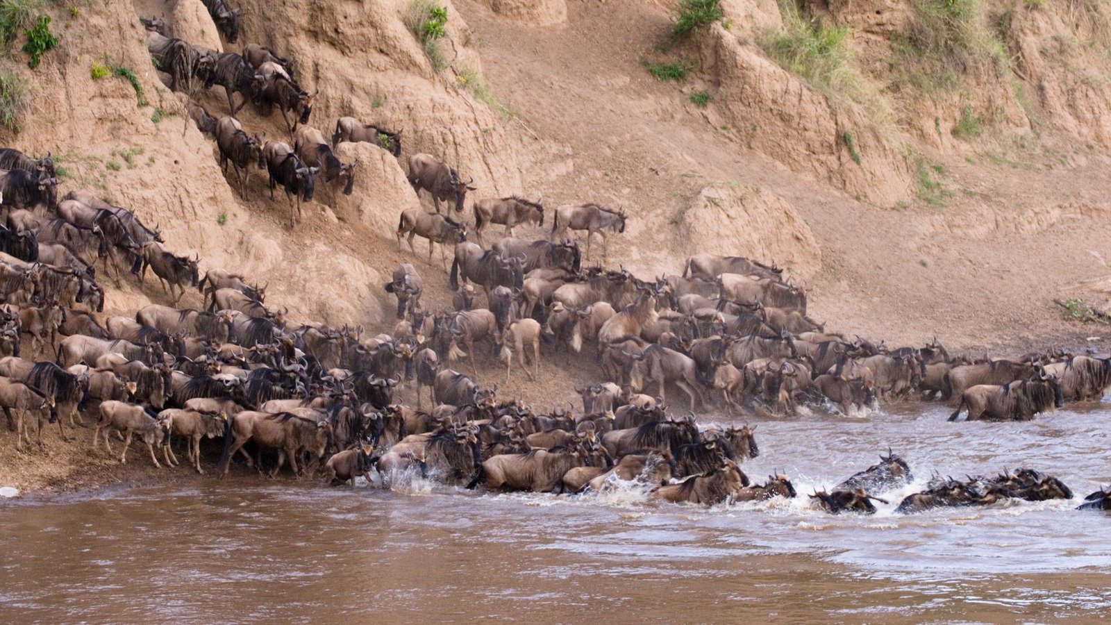 6 Days River Crossing Season