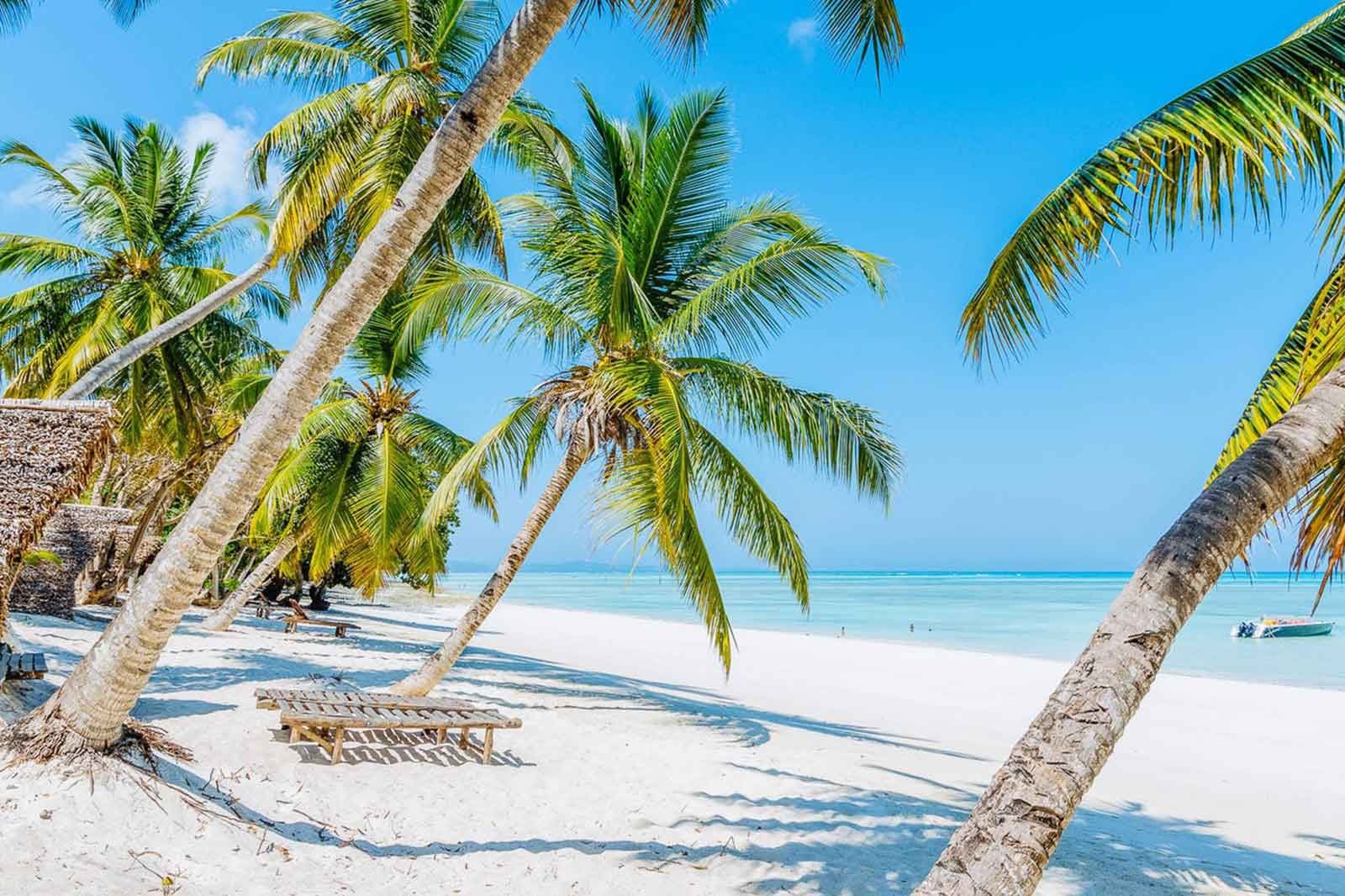 7 Days Zanzibar Highlight