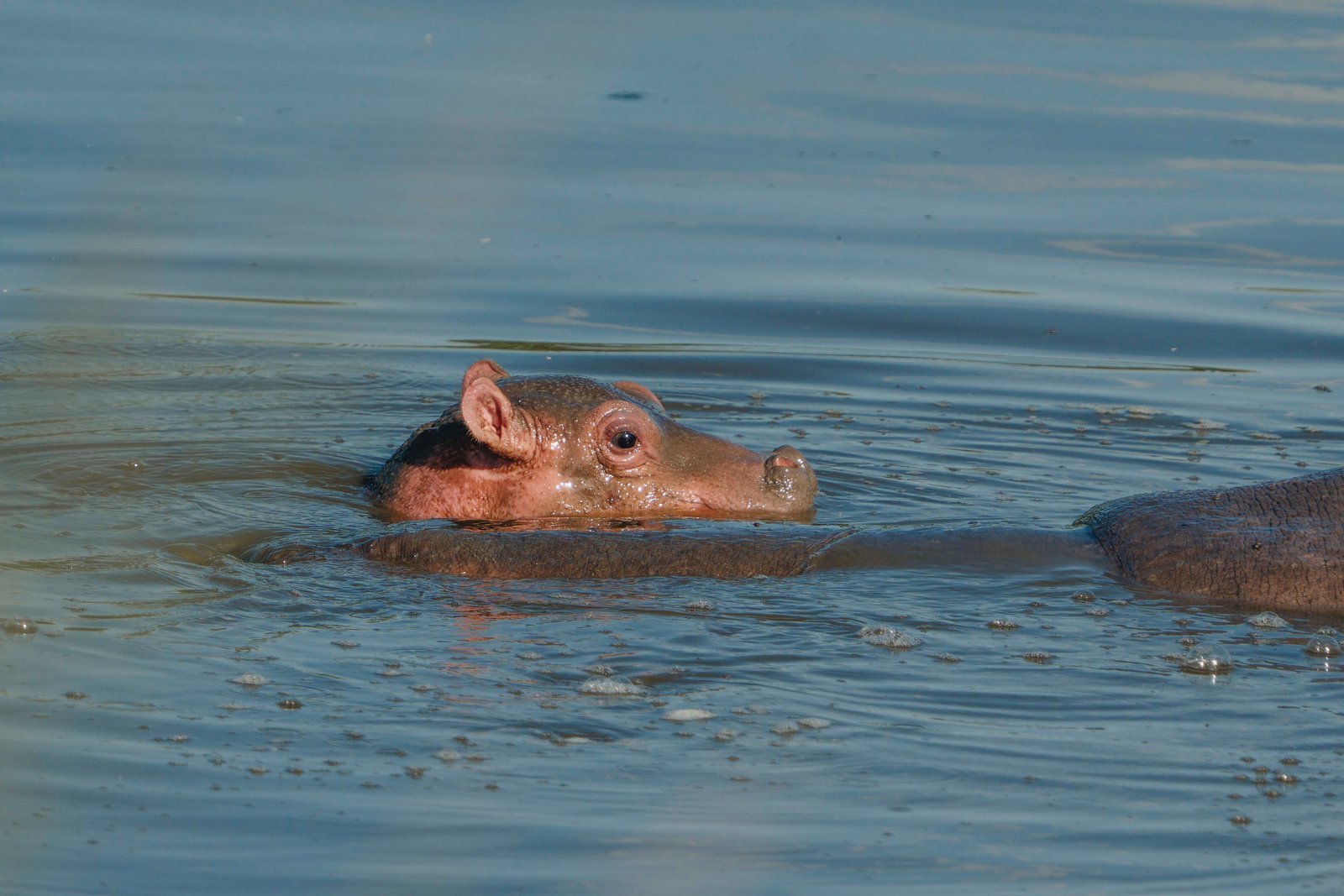 11 Day Southern Tanzania Wilderness Expedition