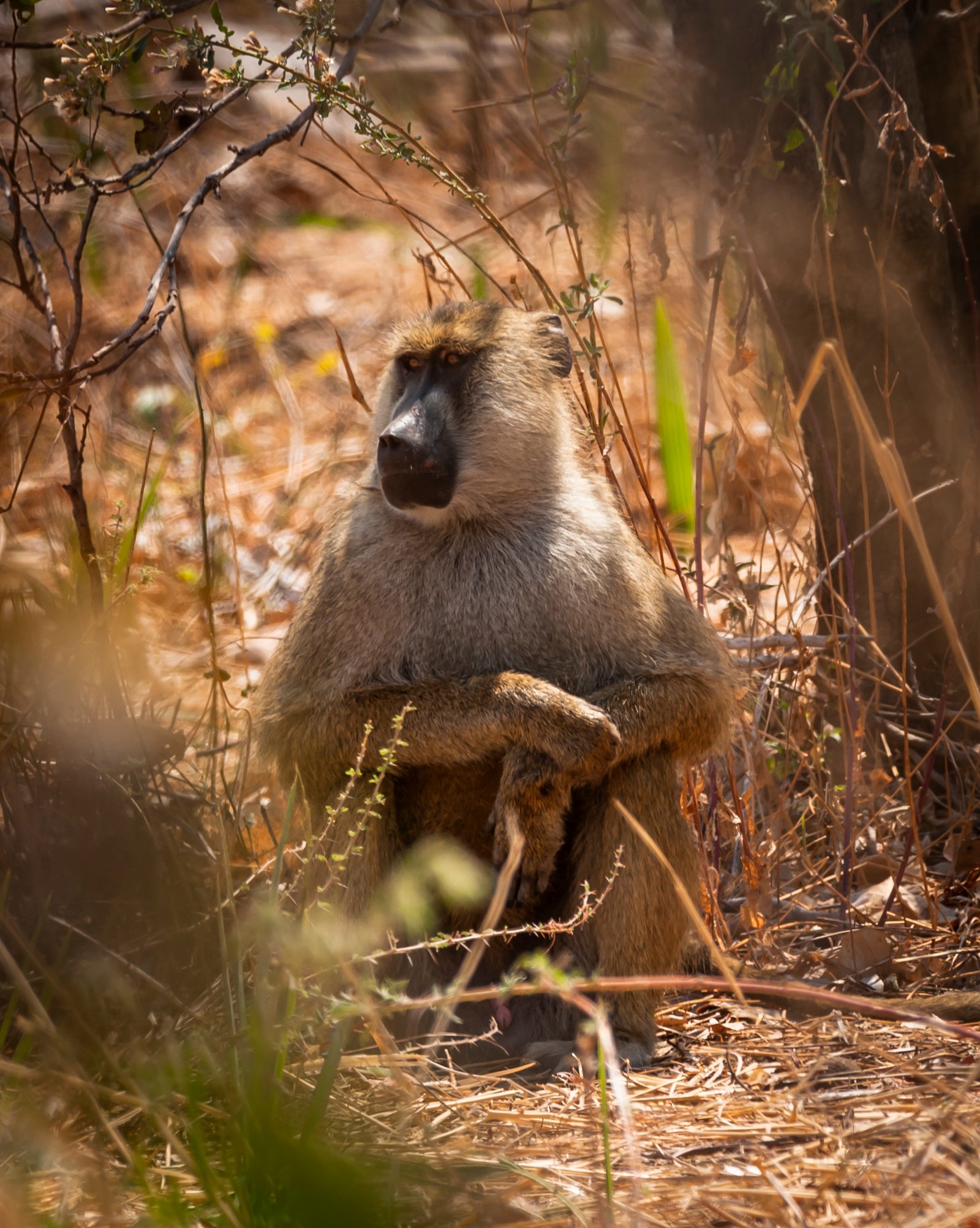 8 Day Southern Tanzania Grand Circuit