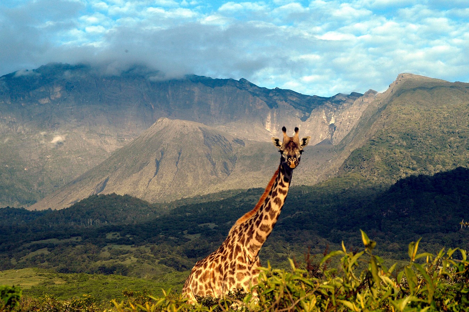Arusha National Park – Tanzania destination