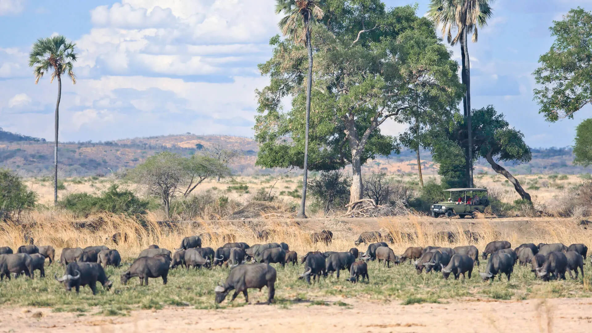 9 Days Western Tanzania Adventure