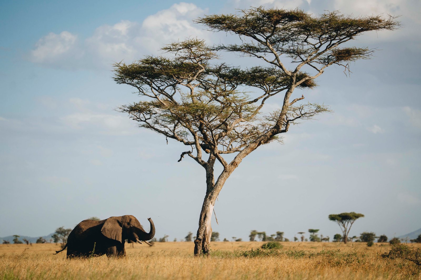 Mount Kilimanjaro Climbing | Guided Tanzania Treks & Safaris - Destination, Tanzania