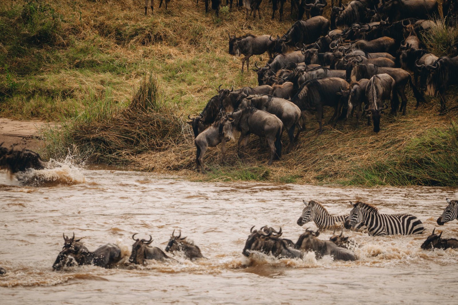 Serengeti National Park