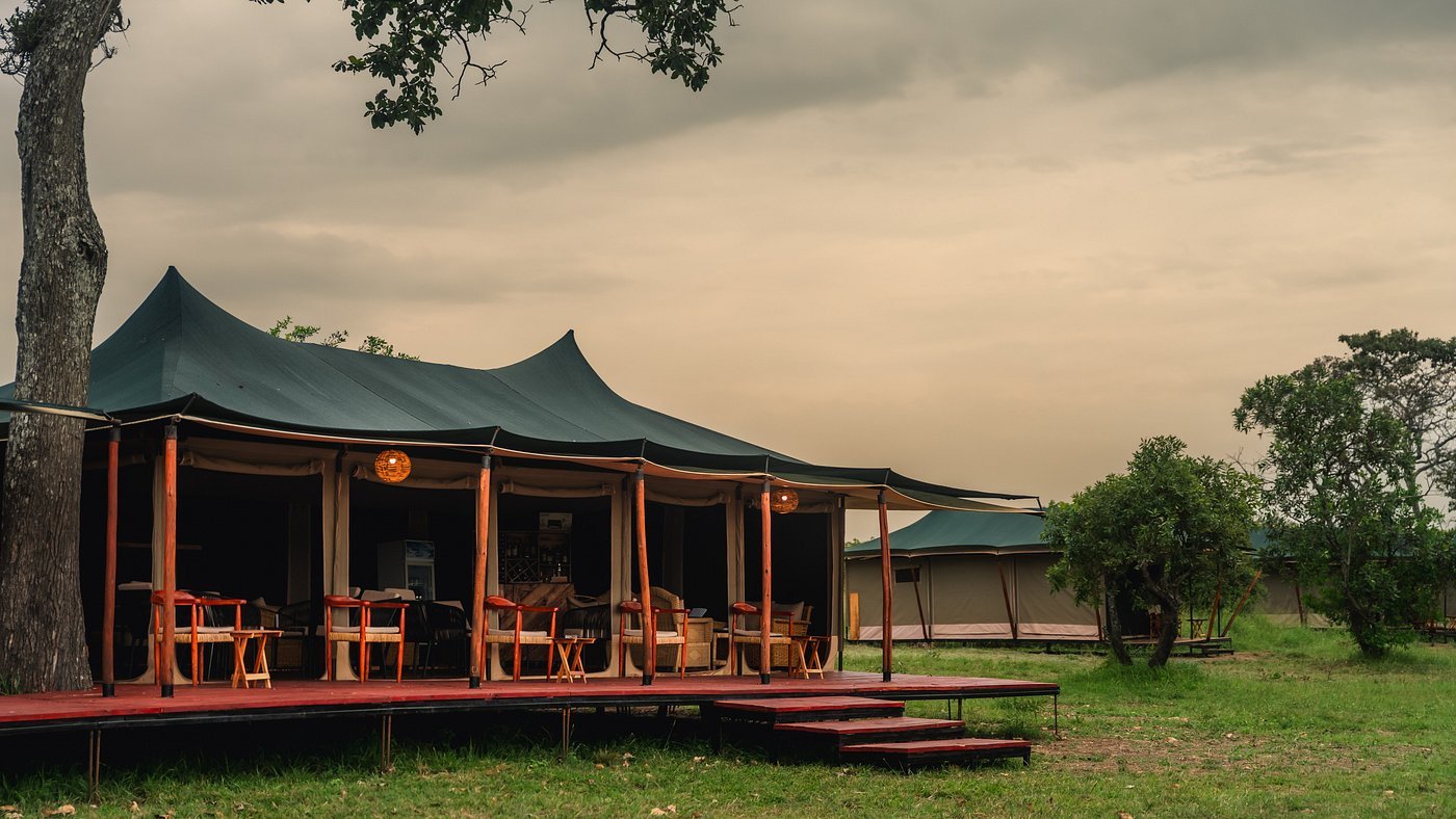 Untamed Migration Camp