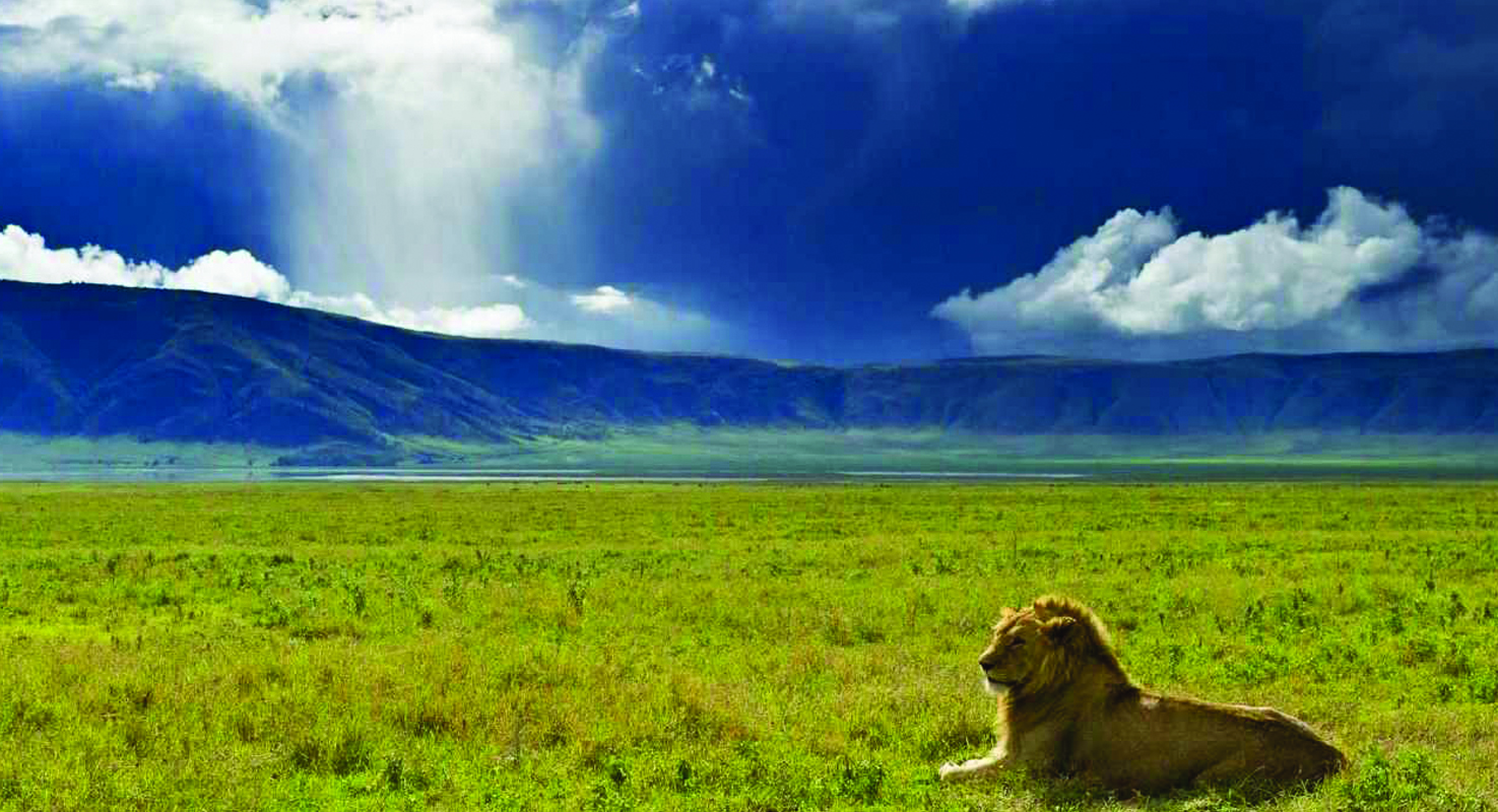 tanzania travel brochure