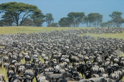 tourist destinations tanzania