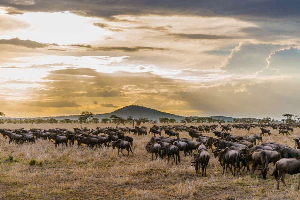 tanzania tourism video